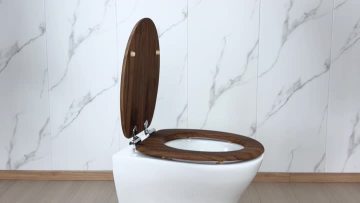 Fanmitrk Toilet Seat SD82LT6317-53