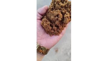 introduce soybean lecihtin