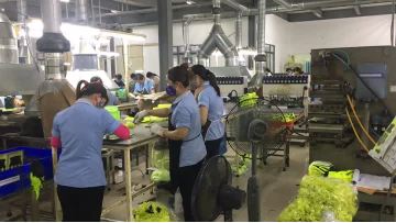 Vietnamese glove customer