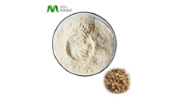 Nattiase Fermented Soybean Extract Organic Natto Extract Powder Nattokinase Enzymes Powder1