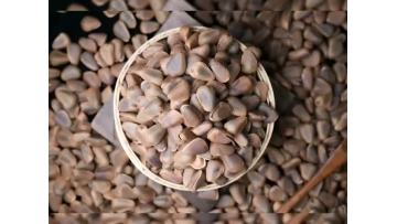 160g Organic Open Pine Nuts1