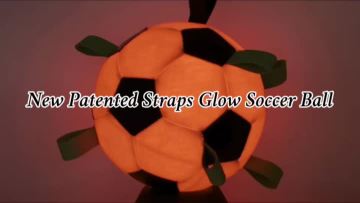 Light Up Dog Rope Ball for Night Walks