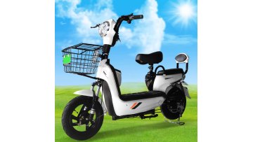 Electric motor bike kids adult electric bike1