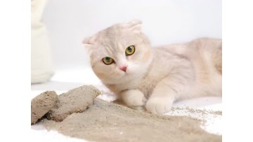 Rose Scented Deodorizing Colored Ball Bentonite Cat Litter