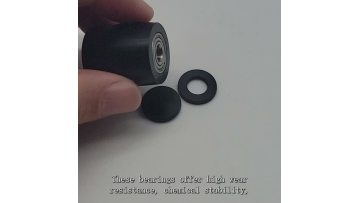 black bush with bearing