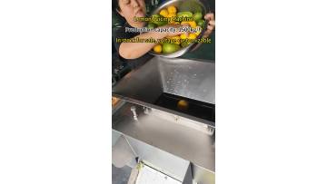 lemon juicing machine