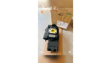 NACHI PISTON PUMP PVD-1B-32P-11G5-4191A