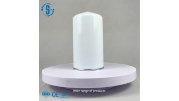 SG-1315 /1 Fiberglass Oil Filter SH8145 9057431 6010060060 470003