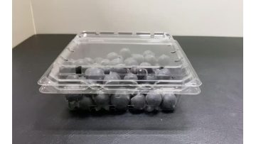 Blueberries/vegetable clamshell