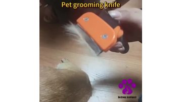 Pet grooming knife