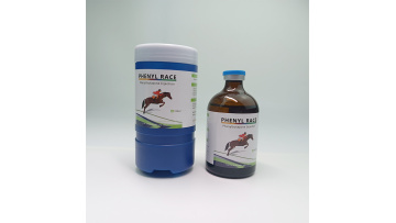 phenylbutazone injection