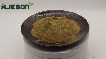 Coriander Extract Powder (1)