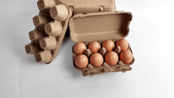 8 holes Biodegradable packaging  paper pulp egg tray carton1