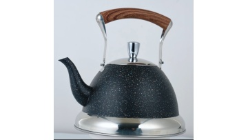 Hight quality black stainless steel stove top kettle FH-673