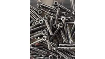 Stainless Steel DIN444 Eye Bolts