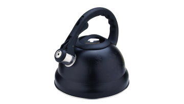 Stainless steel black patterns kettle FH-439