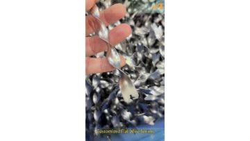Flat Wire Spring