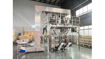 WPV200T packing machine