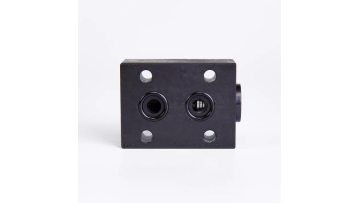 RVP8 Check valve
