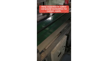 Video 10
