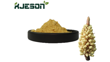 Pine Pollen Powder