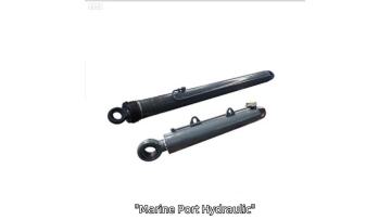 Marine Port Hydraulic Cylinder