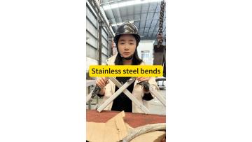 Stainless Steel Elbow