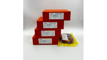 SH200-A3 Hydraulic seal repair kit