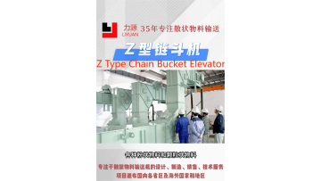 Z Type Chain Bucket Elevator
