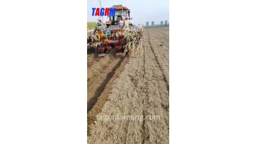 2025 Sugarcane planter machine