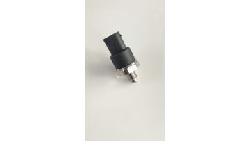 0265005303 Oil Pressure Sensor