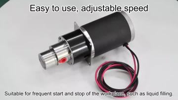 0.30cc Gear pump