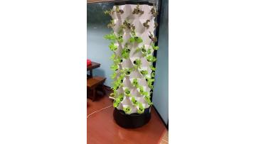 Hydroponic tower