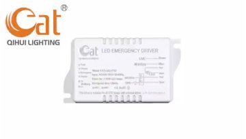 20W LED Emergency Driver