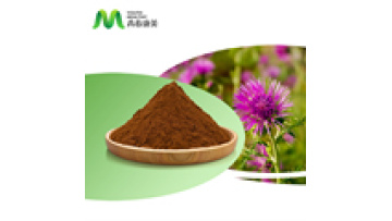 Milk Thistle Medicinal Herbs Water Soluble Silymarin 40%  Milk Thistle Extract For Liver Protecting1