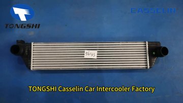 Car Water to Air Intercooler For VAUXHALL MOVANO Mk II (B) VAN 10- OEM 4420575 93168279 144960015R1
