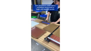 Video 13