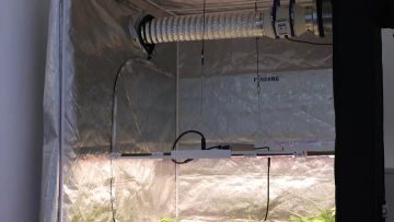 730W