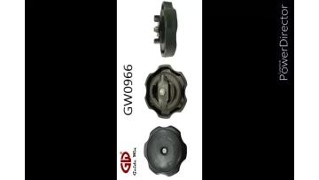 Video for GW0966