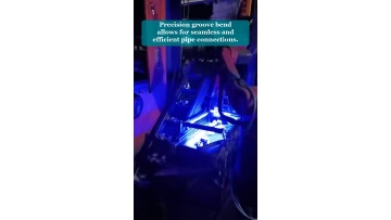 Video 5