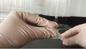 3ml transfer pipet