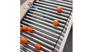 TS-FS450B Fully automatic commercial fruit sorter