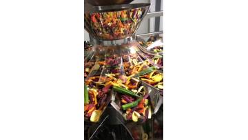 Bag feeding machine