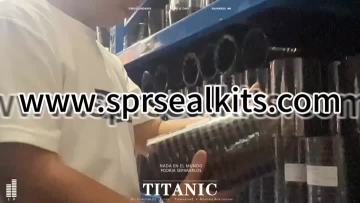 Oil cylinder frameless soft dust proof DHS (84)