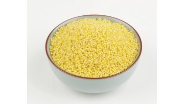 grain Millet