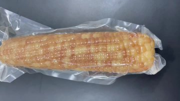 Single Packed Mottled Waxy Corn