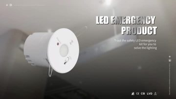 emergency downlight