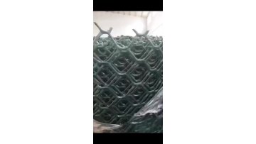 XINHAI Poultry white plastic pe extruded chicken wire mesh net1