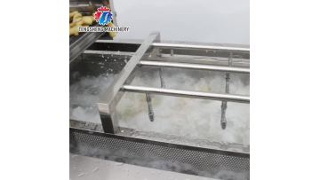 TS-X300A Large Industrial Fruit and Vegetable Washing Machine