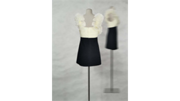 Organza Ruffle Mini Dress